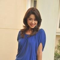 Payal Ghosh hot in Mini Blue dress - Photos | Picture 102702